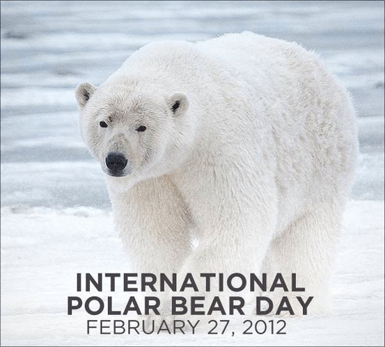 Internationall Polar Bear Day